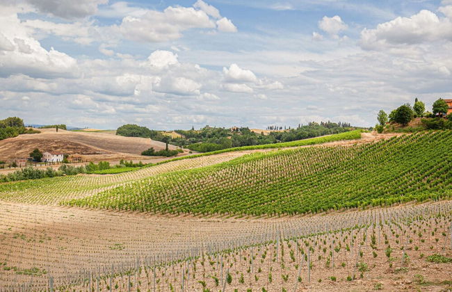 Montaione Harmony: Lodging - Foto 25