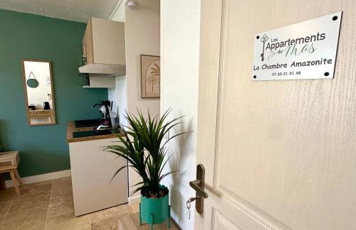 Les Appartements du Mas - Studio Amazonite - Foto 14