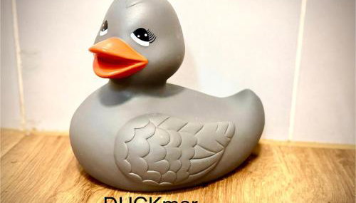 Wohnung In Wolfenbüttel - Foto 5