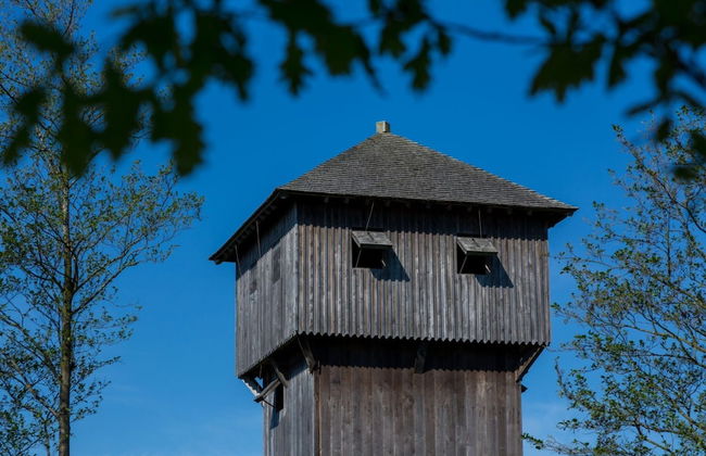 Holiday Home in Beautiful Oostkapelle - Photo 15