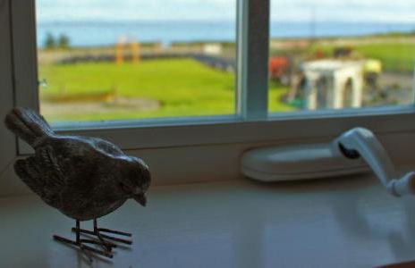 Dungeness Barn House Bed and Breakfast at Two Crows Farm - Foto 18