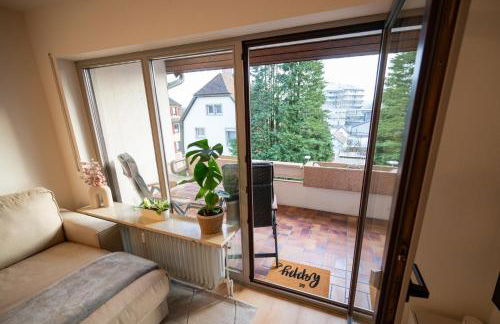 Central Apartment near Basel - Buisness&Holiday - Foto 30