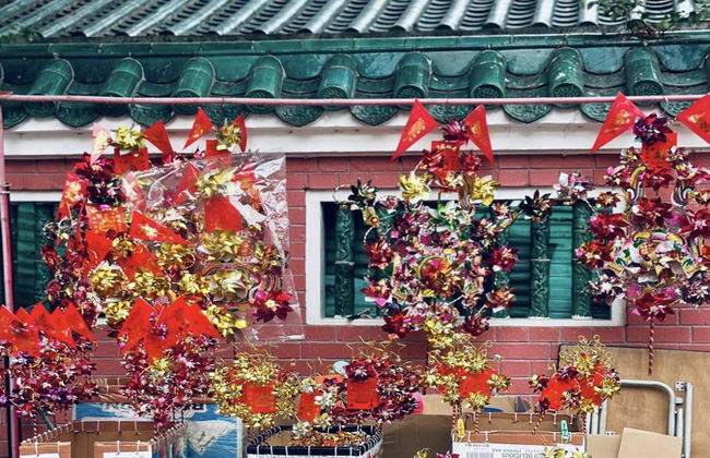 Discover the Cultural Gems of Kowloon – Half-Day Private Tour - Photo 6