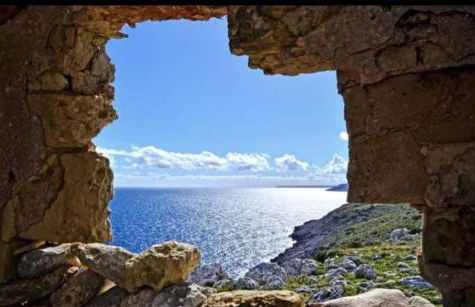 La Petraia - Foto 16