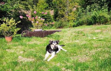 Helga's Candy Ranch - Foto 18