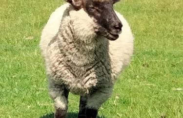 Urlaub Nord-Ost - Foto 31