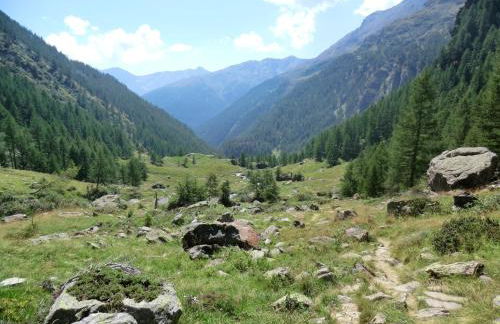 Baita Mas Sora Sass - Foto 32