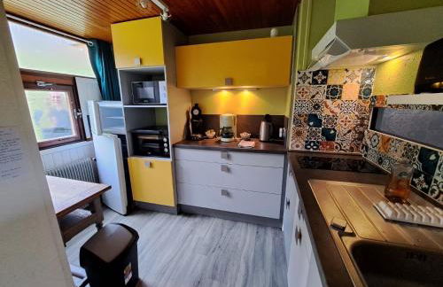 Appartement duplex avec vue sur le Sancy et garage couvert - Foto 3