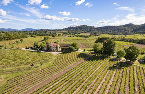 Gîte Mimosa au milieu des vignes - Château les Apiès - Foto 32