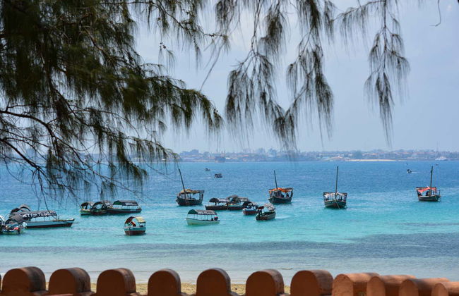 Stone Town, Prison Island & Spice Farms Tour - Foto 8