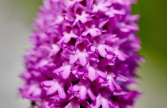 Apartamentos Fonda Finet - Foto 64