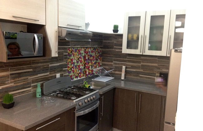 Tropical Paradise Apartment - Photo 12