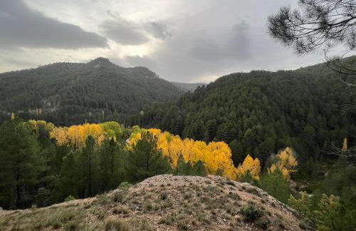 Dúplex Río Madera - Foto 45