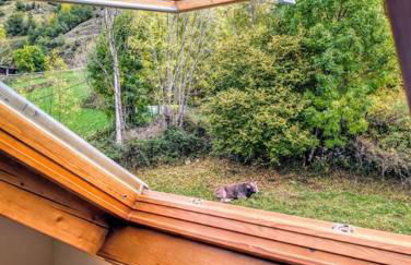 Apartamento Starlight - Vistas, parking y WiFi en Boí - Foto 25