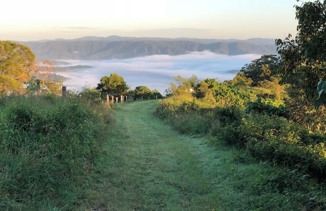 The Ridge at Maleny - Photo 33