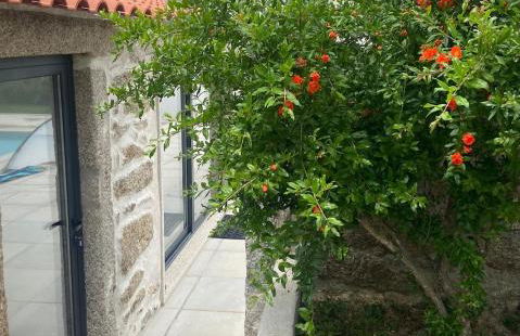 Casa de Miguel Chôco - Foto 49