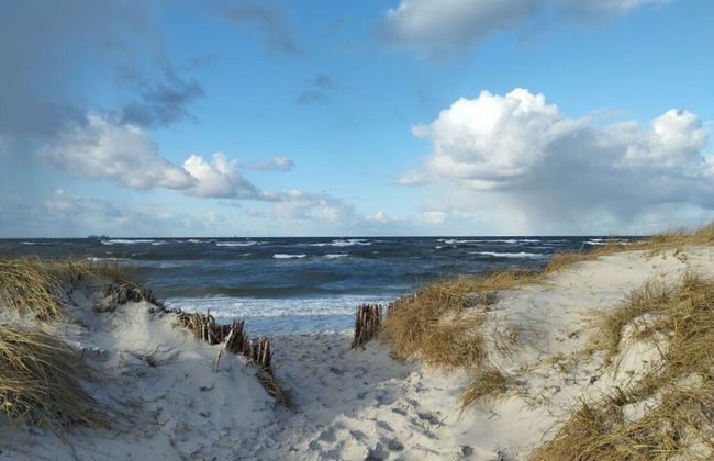 Birklund Modern Retreat - Foto 19