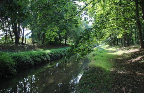 Apartment 1 - Photo 6