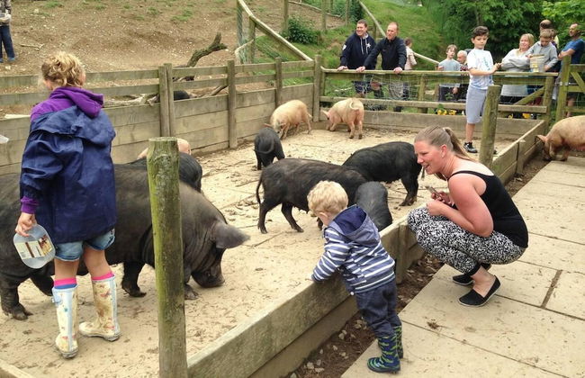 Relax in Sunset View Cottage on Cwmiar Farm - Photo 16