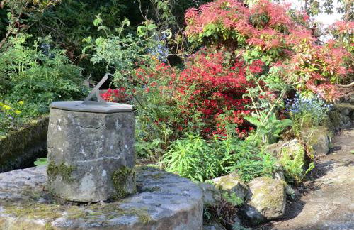 Ballylagan Organic Farm - Foto 66