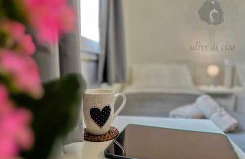 Ulivi di Cleo - Foto 29