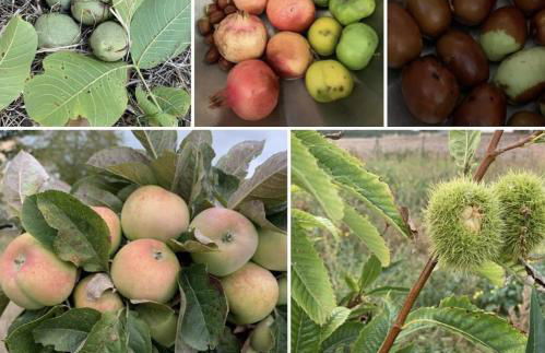 House in Seggio, peace in the green heart of Umbria - Foto 26