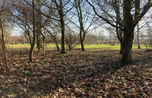 Granary Cottage - Foto 25