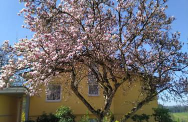 Haus Annette - Foto 25