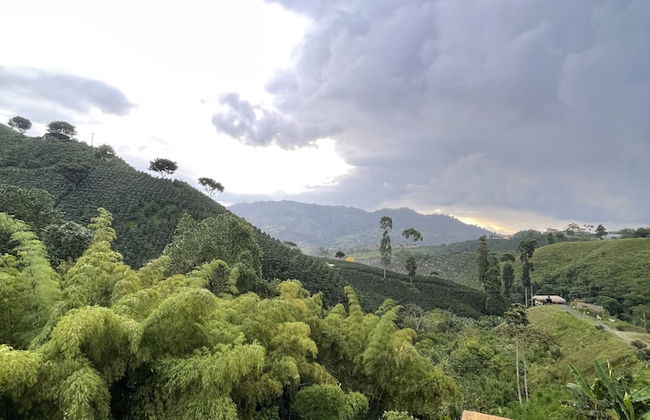 Eco Hotel Glamping El SIlencio - Foto 10