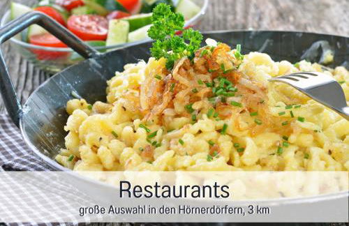 Biohof Burger, 3 sonnige Fewo, alle mit Balkon, Spielzimmer, Grillhütte, 7 km vor Oberstdorf - Photo 37