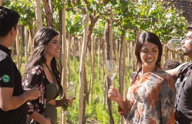 Elqui Valley Pisco, Wine & Beer Tour - Photo 1