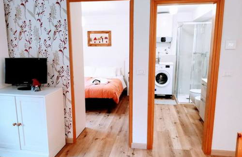 Casina Alpina sugli impianti Passo S Pellegrino - Foto 11