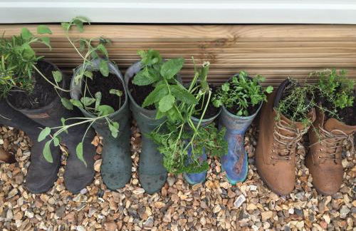 Rew Farm Country & Equestrian Accommodation - Sunrise Lodge - Foto 65