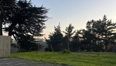 Deer's Meadow - Foto 5