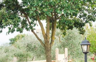 Agriturismo Poggio Degli Ulivi - Foto 10