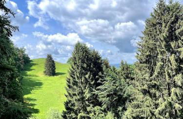 Ferienwohnung am Hang mit malerischer Aussicht - Foto 15