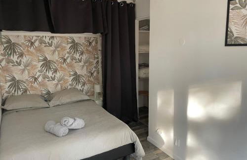 La Cardonille appartement avec patio - Foto 12