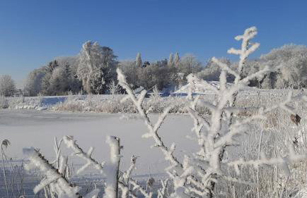 Orzechowy Dworek - Foto 12