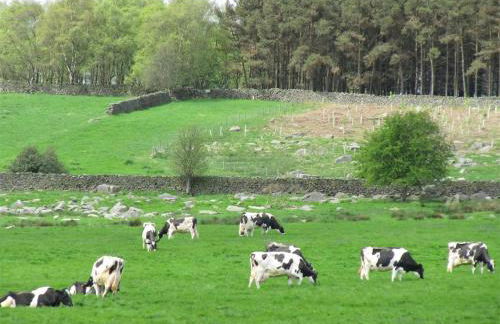 1 Bed in Harrogate oc-hh071 - Photo 10