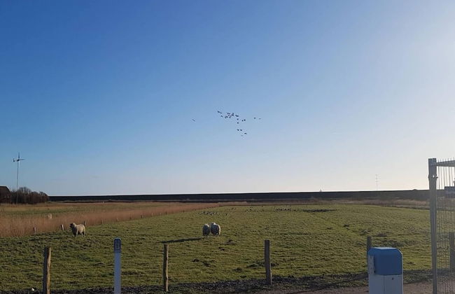 Exklusiv Eingerichtetes Ferienhaus in Strandnahe - Foto 40