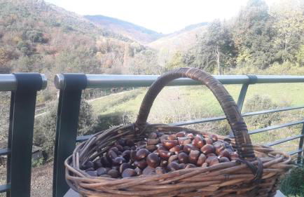 Gîte de la Salamandre - Foto 28