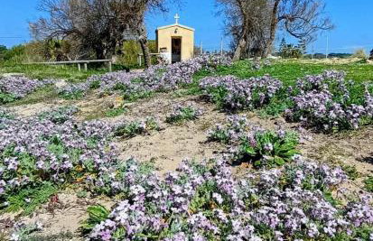 Villa Alto Mare - Foto 43