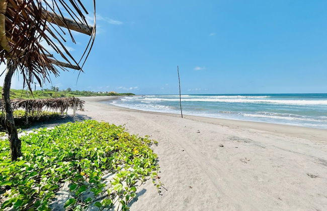 Villas Tortugas Apartments - Photo 62