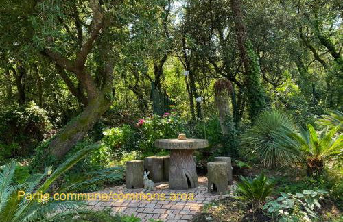 Studio with beautiful private garden on the forest in Domino - Foto 11