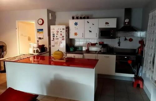 Appartement accueillant à Saint-Jean-Pied-de-Port, 69 m² - Foto 1