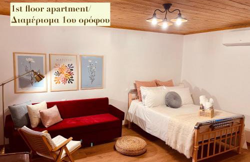 Casa Delicosta- 2 Flat Country house with garden, 15 min from Trikala - Foto 20