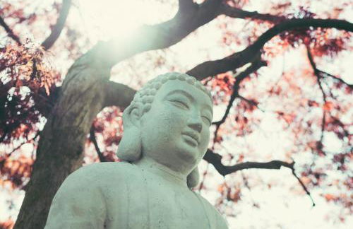 Residence Bianca - Foto 6