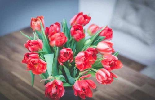 Rooftop - das Apartment mit Dachterrasse - Foto 9