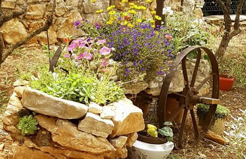 Apartments Villa Marija - Foto 22