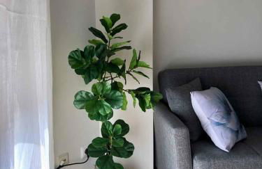 Apartamentos Schultz - Foto 23